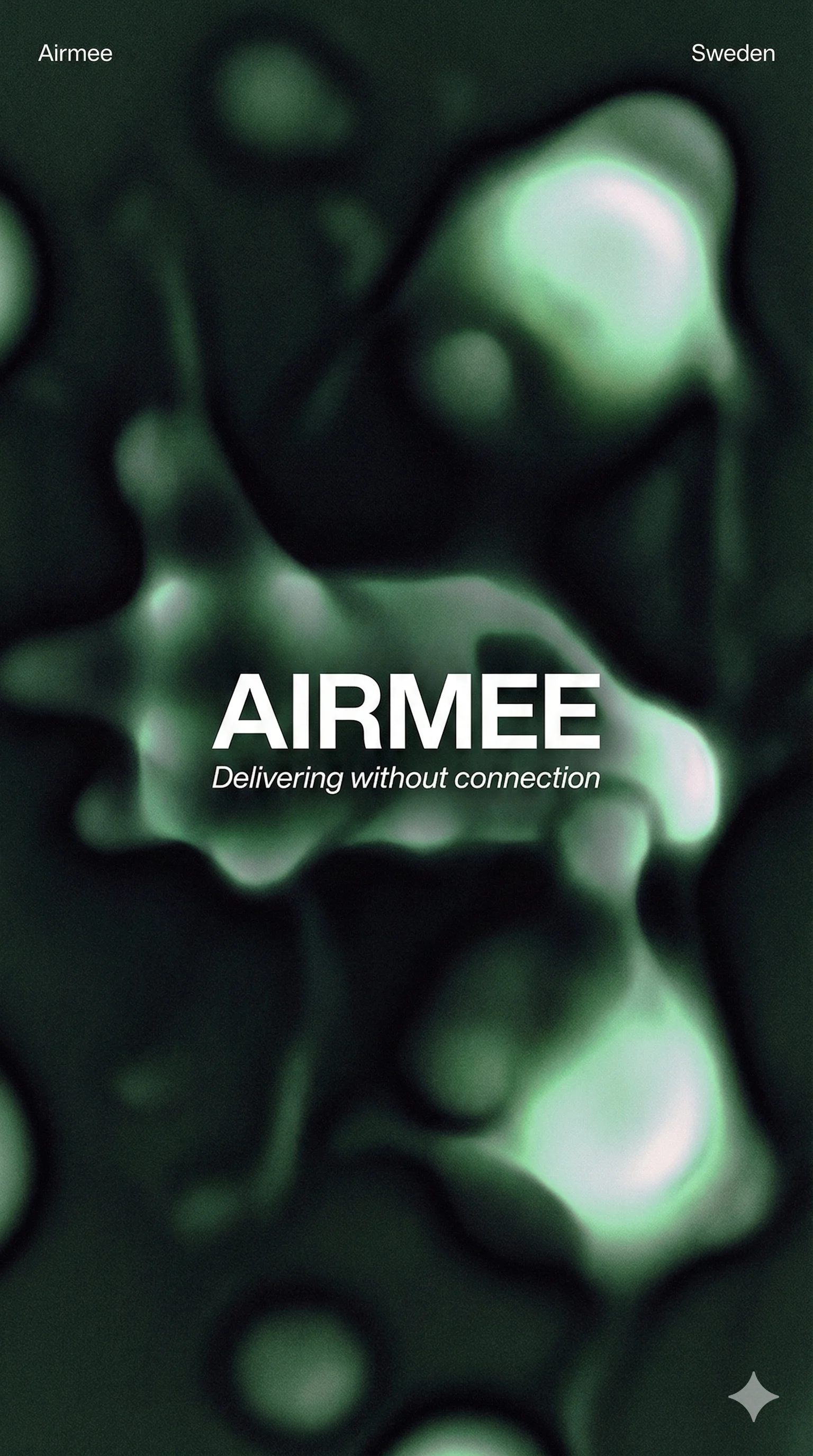 Airmee Offline-First Logistics System