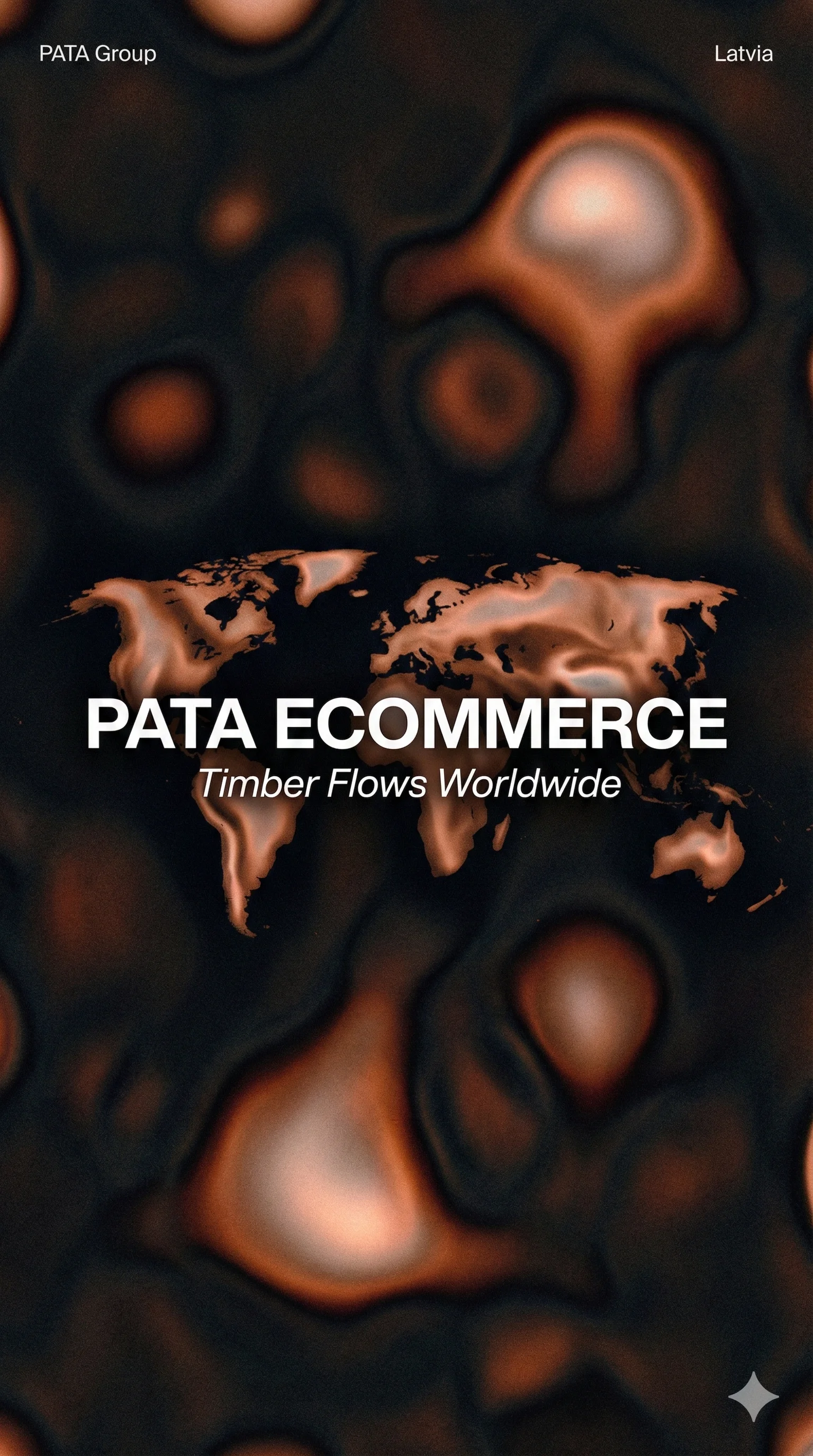 PATA eCommerce Platform - Wholesale Expansion