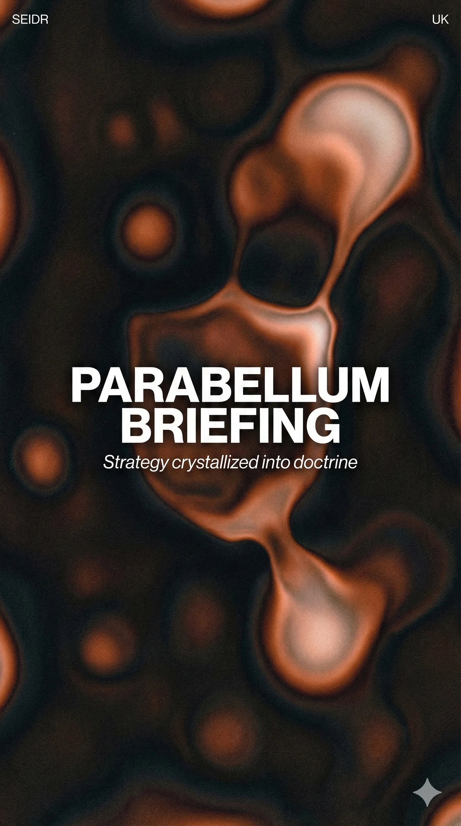 Parabellum Briefing - Military Training Simulation Platform